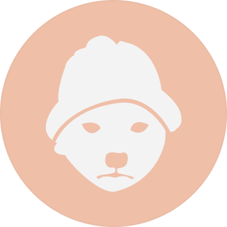 dogwifhat (WIF) logo, dogwifhat (WIF) symbol
